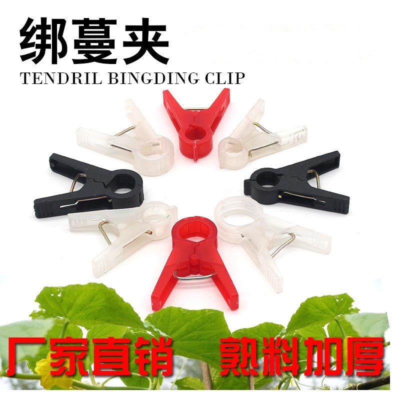 黑色多用途农场西瓜大棚塑料夹子藤蔓吊秧夹捆农用蔬菜苗加厚花卉|ruв категории доставка цветов/цветок моделирования/растения садоводства, садовых принадлежностей, других садовых принадлежностей - от Buy2taobao.com для оказания профессиональной услуги покупки агента Taobao