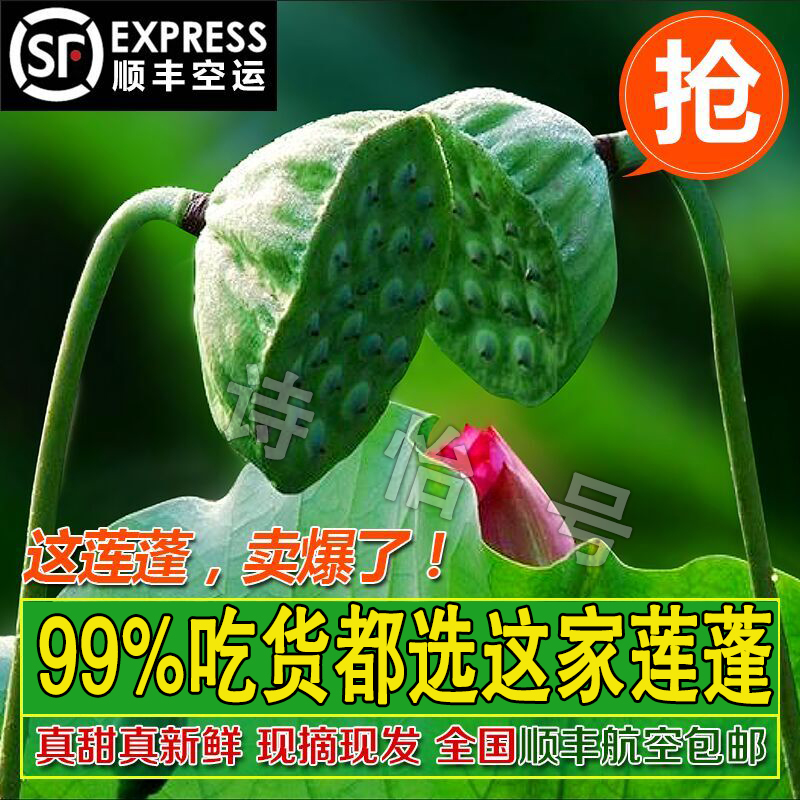新鲜嫩莲蓬太空莲鲜甜绿色农家水果生吃白莲子米10朵装莲蓬发顺丰|ruв категории зерно риса/север и Юг сухих грузов/приправы, север и Юг сухих грузов/мясо сухих грузов, сухогрузный/родной, семена лотоса - от Buy2taobao.com для оказания профессиональной услуги покупки агента Taobao