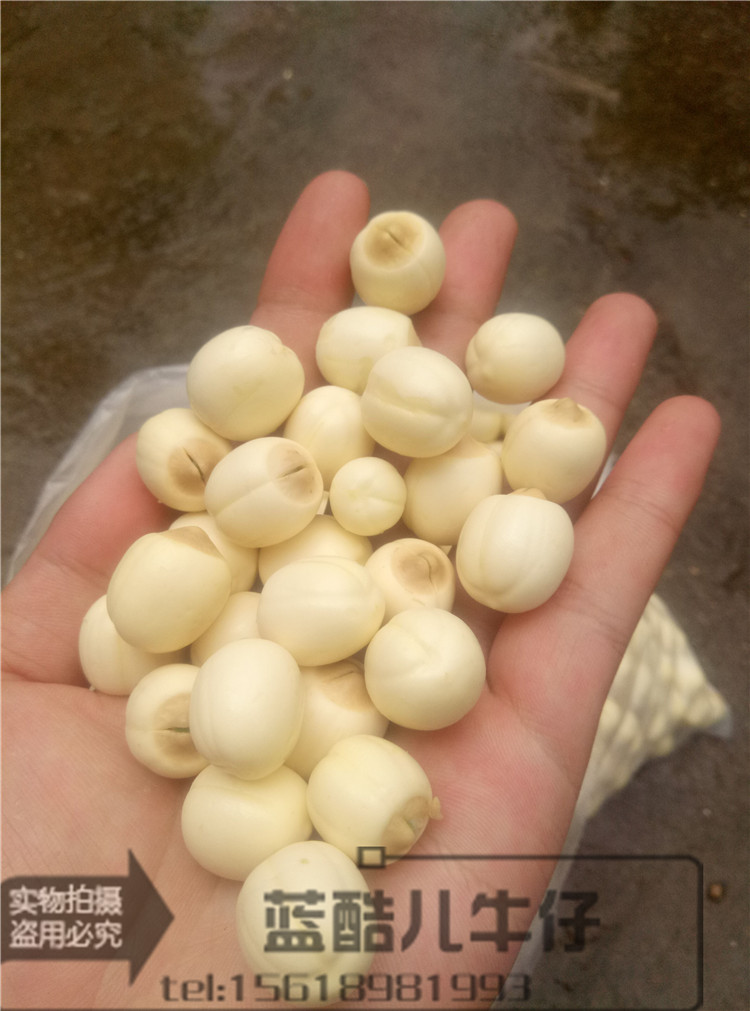 fresh Lotus seed Shelled Go to the core Soup Porridge Syrup manual Fresh lotus Bailian Shunfengin the Agri rice/Dried foods/Condiment , Dried foods/Meat Dry , Dry/Native , Lotus category - from Buy2taobao.com to provide professional Taobao agent buy service