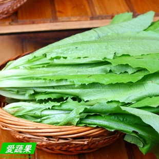  【爱蔬果】绿色食品新鲜蔬菜 油麦菜 莜麦菜 苦菜 北京同城配送