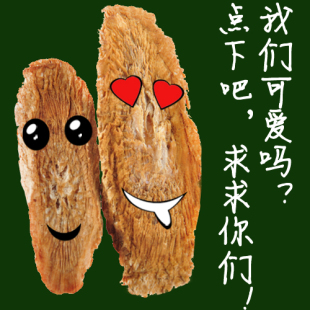  9.9包邮 顶级黄金牛蒡茶一级牛蒡片 徐州牛蒡牛蒡根 养生茶买2送2