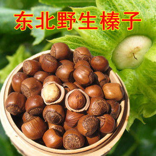  野生榛子 特级火榛子 小榛子 坚果 东北特产 山榛子500g 2件包邮