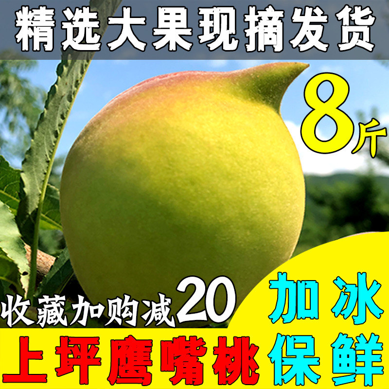 正宗河源连平上坪鹰嘴桃新鲜现摘农家孕妇水果蜜桃广东8斤包邮在类目 水产肉类/新鲜蔬果/熟食, 新鲜水果, 桃中 - 来自Buy2taobao.com提供专业的淘宝代购服务