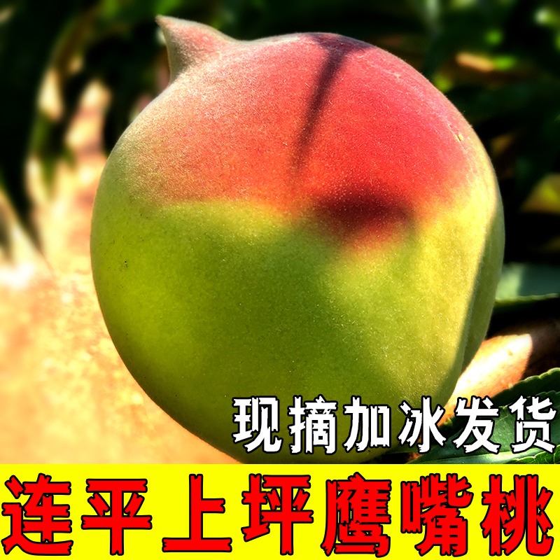 正宗连平上坪鹰嘴桃新鲜现摘河源农家孕妇水果蜜桃广东3斤包邮在类目 水产肉类/新鲜蔬果/熟食, 新鲜水果, 桃中 - 来自Buy2taobao.com提供专业的淘宝代购服务