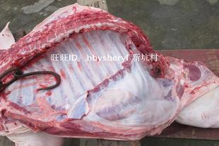  新坑村农家 乡下农家猪排骨 土猪肉 农家猪排 排骨 另有扇骨瘦肉