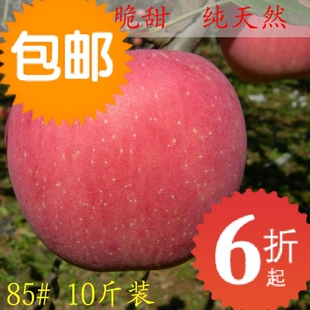  山东栖霞正宗烟台苹果水果新鲜红富士苹果有机批发 大85#多省包邮