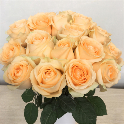 Yunnan Kunming Base flower rose household Office Water to keep A tie 20 Monthly deliveryin the Flower delivery/Flowers simulation/Plants gardening , Flower delivery(City) category - from Buy2taobao.com to provide professional Taobao agent buy service