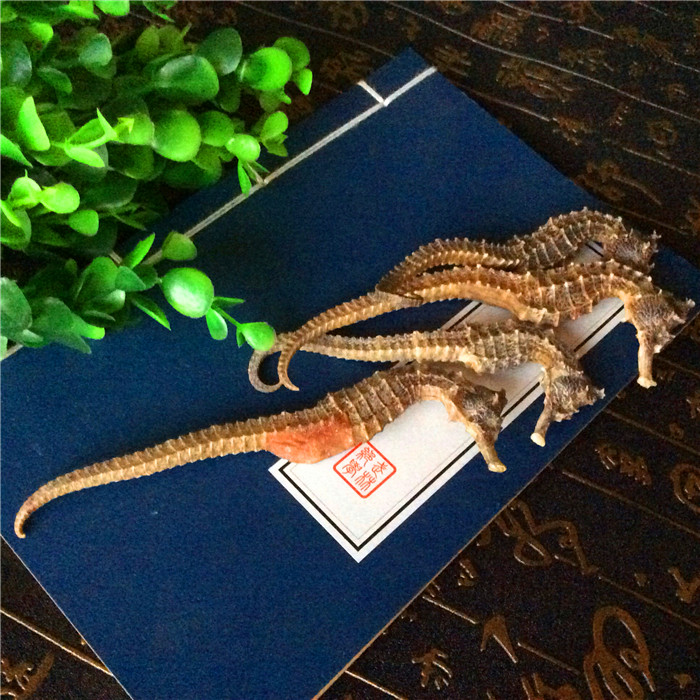 a hippocampus Hippocampus Dried hippocampus Orthodox school a hippocampus a pair 6 g Paojiu material Tongrentang qualityin the Traditional nourishing food , Medicinal and Edible Food , Other Medicinal and Edible Food category - from Buy2taobao.com to provide professional Taobao agent buy service
