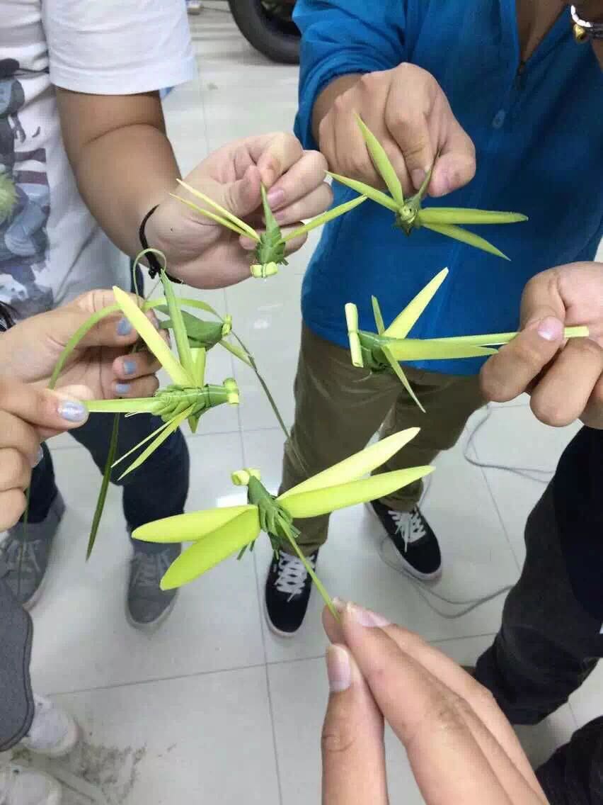棕草編蜻蜓長沙非遺手工民間傳統DIY幼兒園手工制作家庭作業在類目 玩具/童車/益智/積木/模型, 戶外運動/休閒/傳統玩具, 飛盤/飛碟/竹蜻蜓類中 - 來自Buy2taobao.com提供專業的淘寶代購服務