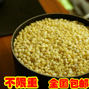  东北土特产北大荒农产品粗粮有机食品五谷杂粮红高粱米高营养包邮