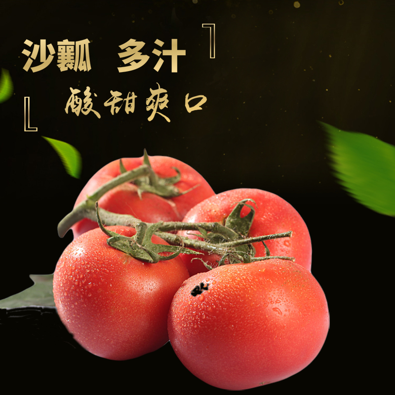 undefined5 Farm fresh natural Size Tomatoes fresh tomato Yang persimmonundefinedin the Aquatic meat/Fresh fruits and vegetables/Cooked , Fresh vegetables/Vegetable products , Fresh vegetables , Other category - from Buy2taobao.com to provide professional Taobao agent buy service