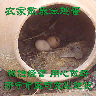  土鸡蛋 草鸡蛋 笨鸡蛋 农家散养 天然有机 保证新鲜 假一赔十