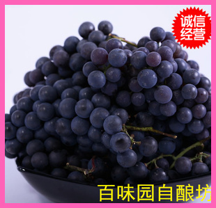  100斤葡萄酒精品辅料大全 包含优质酿酒酵母 果胶酶 调硫片