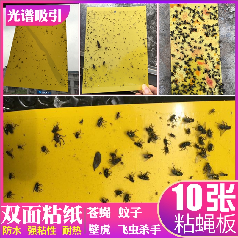 苍蝇胶纸消灭蚊子小飞虫蟑螂壁虎大棚粘蝇板沾捕帖餐厅家用一扫光在类目 居家日用, 驱虫用品, 灭蚊灯/吸蚊机/灭蝇灯中 - 来自Buy2taobao.com提供专业的淘宝代购服务