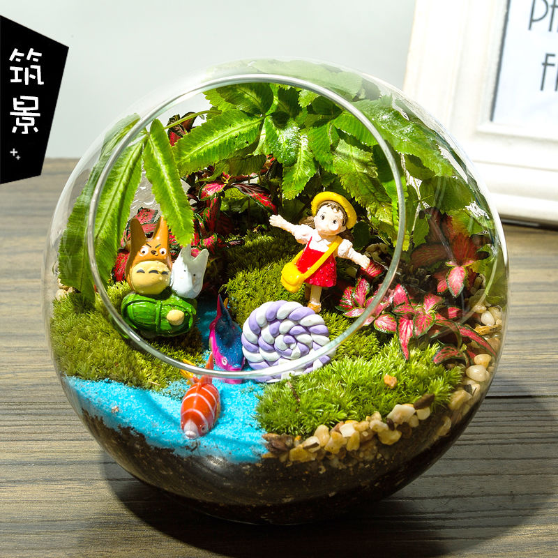 筑景创意DIY微景观苔藓活绿植物室内办公室桌面盆栽生日活动礼物|ruв категории доставка цветов/цветок моделирования/растения садоводства, творческие мини - растений - от Buy2taobao.com для оказания профессиональной услуги покупки агента Taobao