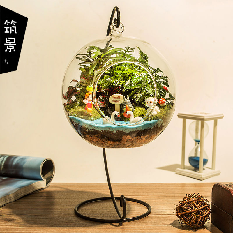 moss and lichen Micro Landscape Green plant Potted plant diy Plant Ecology Small ornaments desktop originality A birthday presentin the Flower delivery/Flowers simulation/Plants gardening , Creative mini-plant  category - from Buy2taobao.com to provide professional Taobao agent buy service