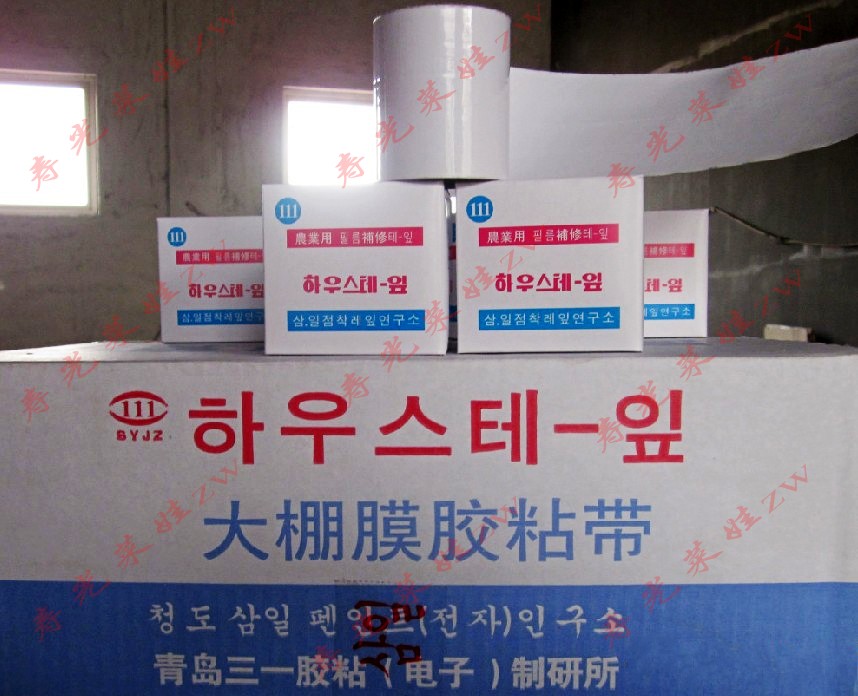 韩国进口塑料薄膜修粘补胶带10米 粘膜胶带 棚膜修补专用胶带10m在类目 鲜花速递/花卉仿真/绿植园艺, 园艺用品, 其它园艺用品中 - 来自Buy2taobao.com提供专业的淘宝代购服务