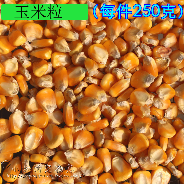 鸽子粮 仓鼠粮食 鸽粮自配仓鼠粮五谷杂粮 玉米粒250g在类目 宠物/宠物食品及用品, 鸟类及用品, 鸟食中 - 来自Buy2taobao.com提供专业的淘宝代购服务