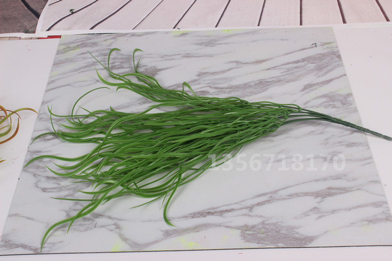 长草 植物墙装饰塑料花仿真花 绢花 假花 仿真植物墙花 常青草|msdalam kategori penghantaran bunga/bunga simulasi/tumbuhan berkebun, bunga tiruan/tumbuh-tumbuhan hijau/Buah-buahan dan sayur-sayuran siap (baru), tumbuhan simulasi - dari Buy2taobao.com untuk memberikan perkhidmatan ejen Taobao profesional membeli