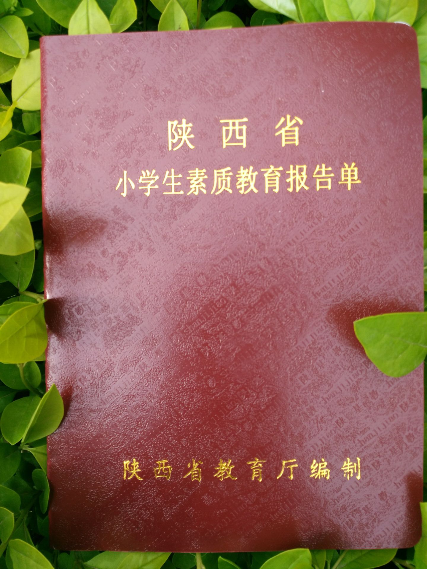 陕西省小学生素质教育报告单 报告册 正品支持验货