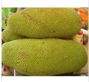  新鲜水果 菠萝蜜 木菠萝5元/斤 果重22-30斤