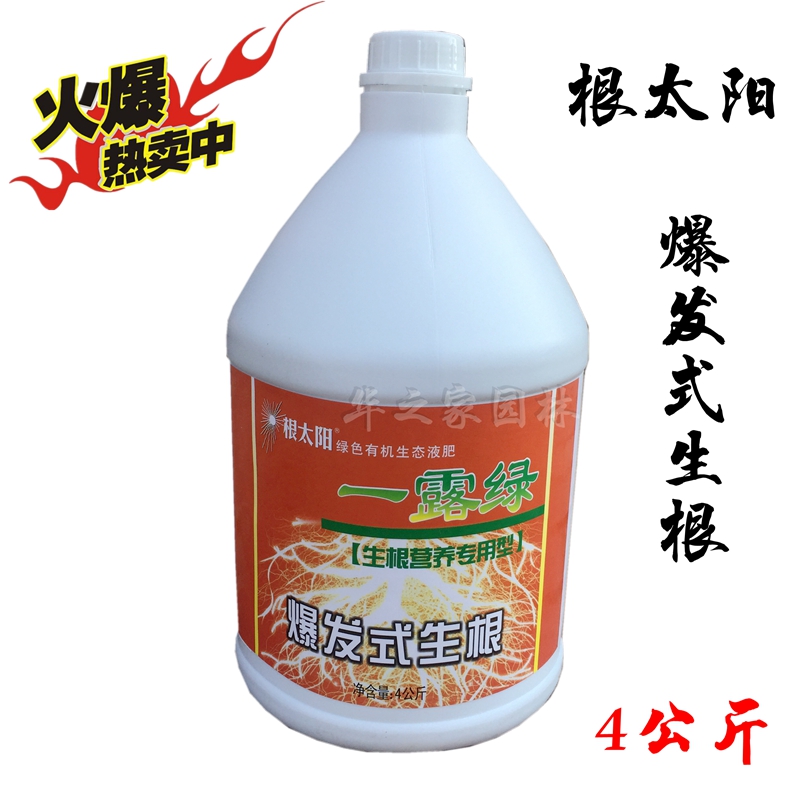 根太阳一露绿生根剂 营养专用 爆发式生根-苗木草坪花卉移栽液肥在类目 鲜花速递/花卉仿真/绿植园艺, 园艺用品, 家庭园艺肥料/营养土/营养液中 - 来自Buy2taobao.com提供专业的淘宝代购服务