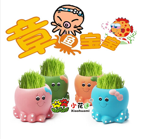 办公室绿植迷你小植物卡通盆栽diy种植草头娃娃创意女生礼物四季在类目 鲜花速递/花卉仿真/绿植园艺, 创意迷你植物中 - 来自Buy2taobao.com提供专业的淘宝代购服务