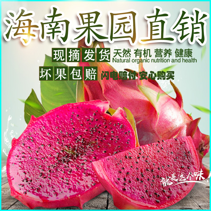 海南金都一号红心火龙果新鲜密宝红星红芯蜜宝红绣球8-10个装5斤在类目 水产肉类/新鲜蔬果/熟食, 新鲜水果, 火龙果中 - 来自Buy2taobao.com提供专业的淘宝代购服务