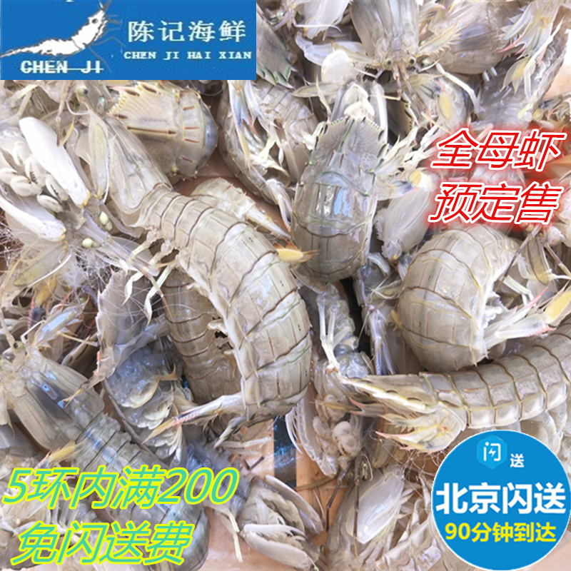 现货500g野生全母皮皮虾鲜活母琵琶虾 虾爬子 虾姑富贵虾海鲜水产|msdalam kategori daging perikanan/Buah-buahan segar dan sayur-sayuran/dimasak, makanan laut/produk akuatik/produk, udang, udang Produk - dari Buy2taobao.com untuk memberikan perkhidmatan ejen Taobao profesional membeli