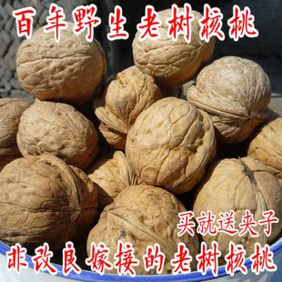  山西野生老树薄皮核桃非纸皮核桃 新货500克三件包邮特产零食