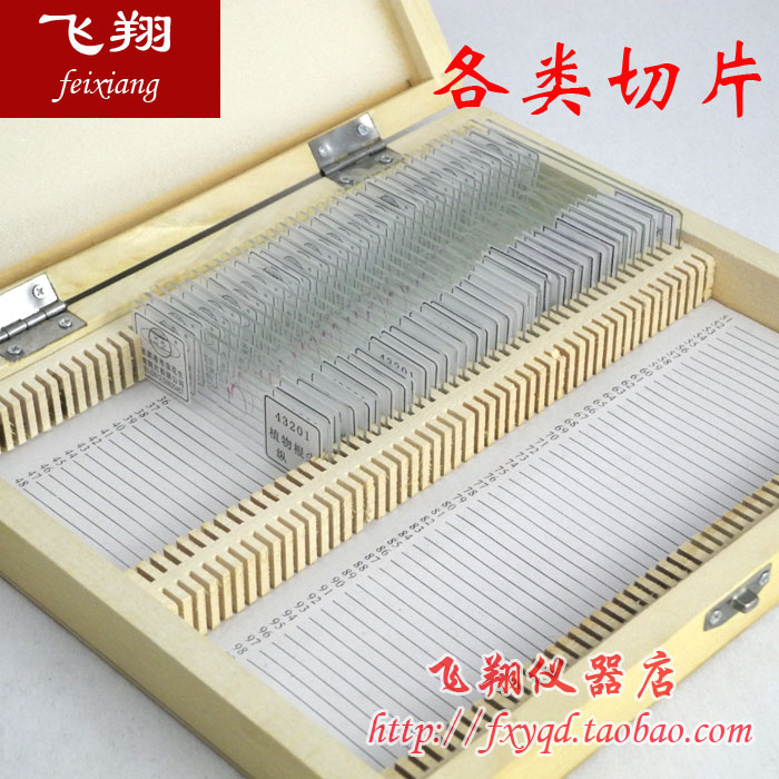 Onion Epidermis Blade Blowhole Crosscutting animal Epidermis Cell Human blood Loading oral cavity mucosa Cell Slice boxin the Kitchen/Cooking utensils , Kitchen Gadgets/Kitchen storage , Multifunctional shredder category - from Buy2taobao.com to provide professional Taobao agent buy service
