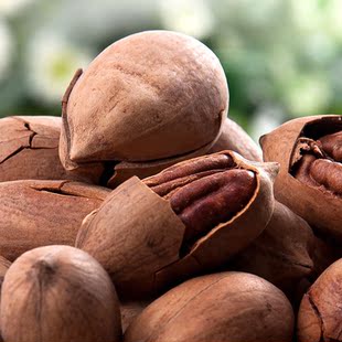  #独唱团# 零食坚果碧根果 美国精选碧根果 山核桃 炒货 200g*2袋