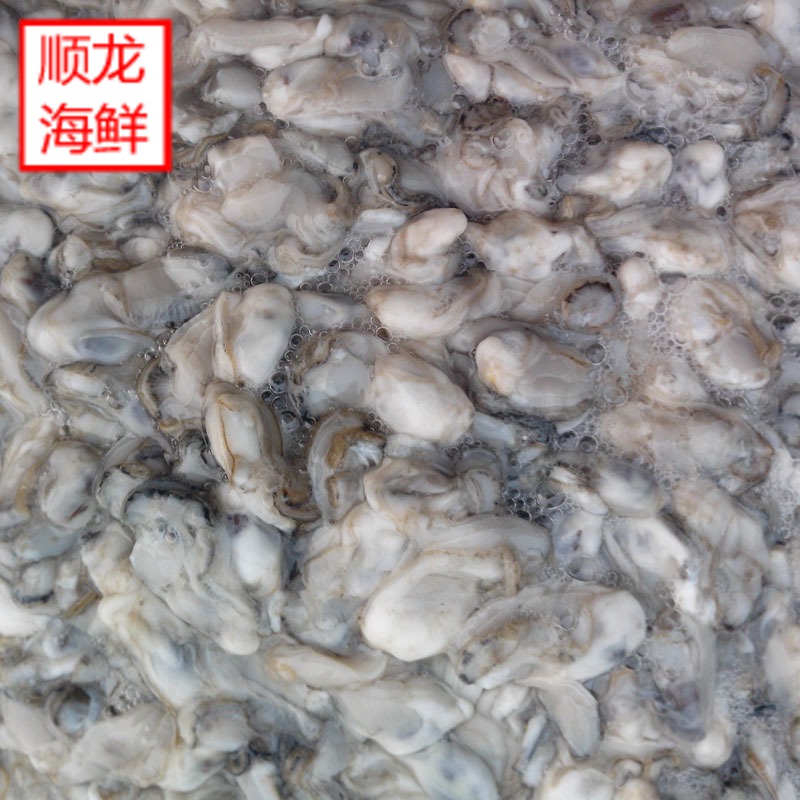 Fresh oyster meat Oyster meat Delicious share No way Parallel That day Oysterin the Aquatic meat/Fresh fruits and vegetables/Cooked , Seafood/Aquatic/Product , Other category - from Buy2taobao.com to provide professional Taobao agent buy service