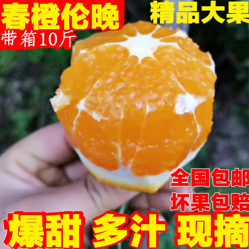 Zigui Navel 10 fresh Big Orange Season fruit Gannan Valenciain the Aquatic meat/Fresh fruits and vegetables/Cooked , Fresh fruit , Orange category - from Buy2taobao.com to provide professional Taobao agent buy service