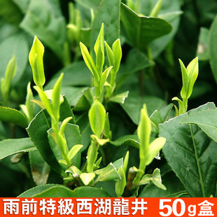  梅家坞年新茶 茶叶有机绿茶 雨前特级西湖龙井茶农直销