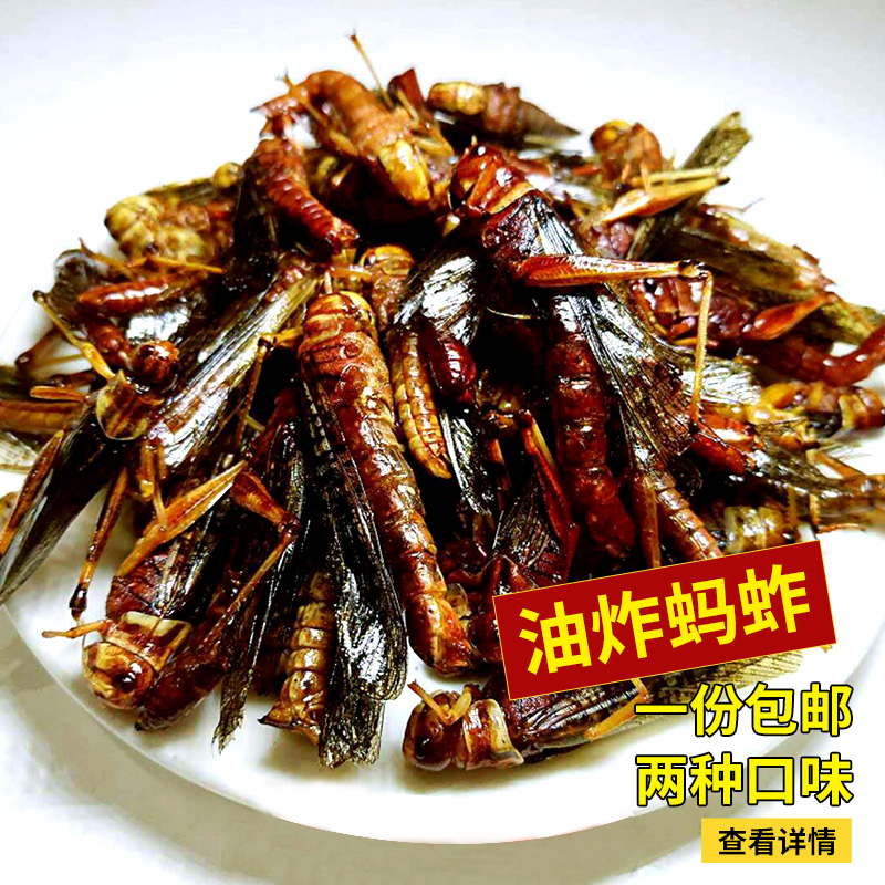 fresh Fried Grasshopper precooked and ready to be eaten spicy Locust Spicy and spicy insect living thing Grasshopper delicious food A 100 gramin the Pet/Pet food and supplies , Reptile/Insects and supplies Ming , Reptile/Ming insect food category - from Buy2taobao.com to provide professional Taobao agent buy service