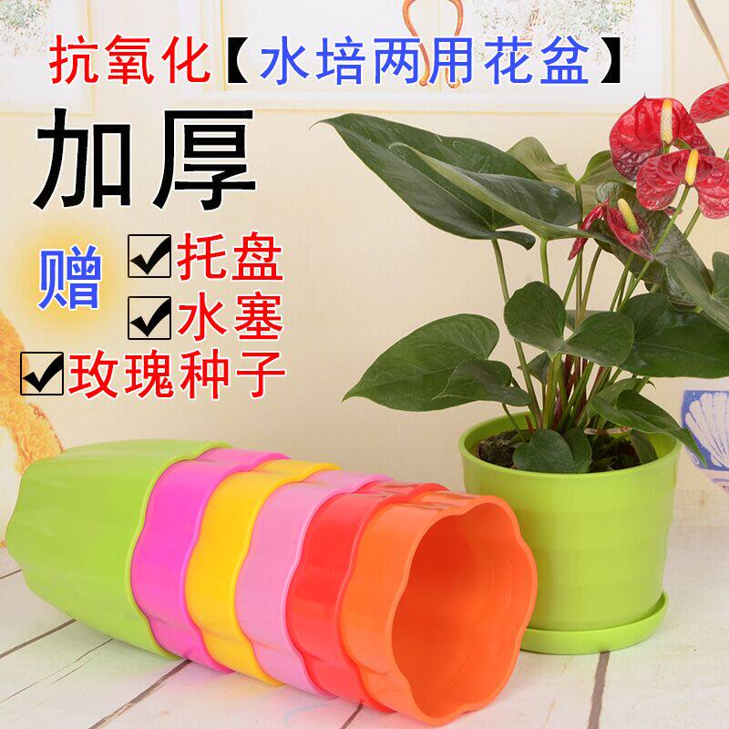 花瓣盆树脂塑料花盆盆栽花卉加厚圆形桌面含托盘花卉盆栽花盆