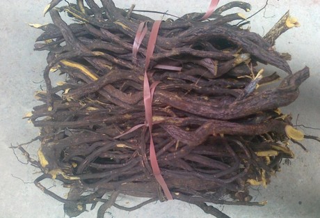 正品野生中药材 铁包金 乌金藤 老鼠草 老鼠屎