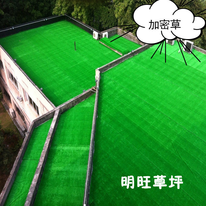 Encryption/simulation of plastic grass/artificial turf artificial turf carpet/turf/lawn/step on kindergarten