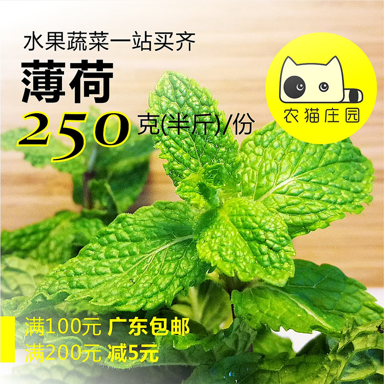 薄荷 半斤 新鲜食用薄荷叶 农猫庄园 深圳沙拉蔬菜 西餐简餐轻食|ruв категории водной мясо/свежие фрукты и овощи/еда, свежие овощи/овощной продукции, свежие овощи, другие - от Buy2taobao.com для оказания профессиональной услуги покупки агента Taobao