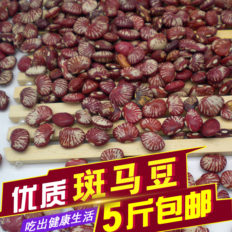 优质云南地方特产 斑马豆 花豆 荷包豆养生佳品500g在类目 粮油米面/南北干货/调味品, 米/面粉/杂粮, 豆类, 其它中 - 来自Buy2taobao.com提供专业的淘宝代购服务