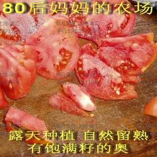  生态农场，露天种植的有饱满的仔的番茄！六月中旬上市！
