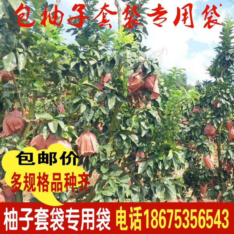 包柚子套袋專用袋防蟲鳥水早熟袋紅肉三紅蜜柚子單層雙層三層包郵在類目 鮮花速遞/花卉仿真/綠植園藝, 園藝用品, 其它園藝用品中 - 來自Buy2taobao.com提供專業的淘寶代購服務