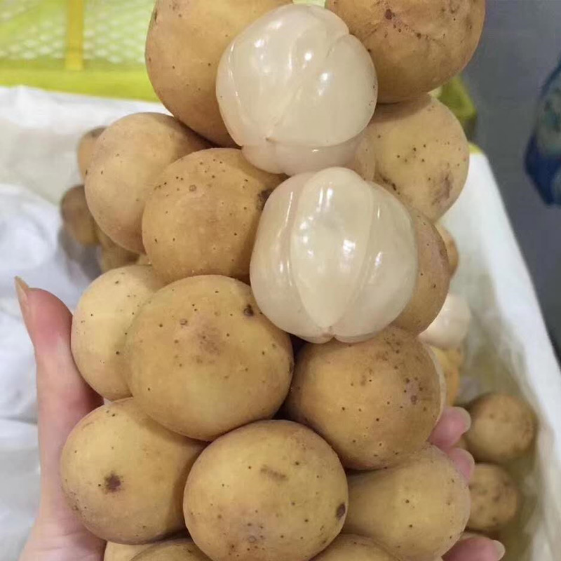 現貨泰國進口龍宮果 皇室龍貢果新鮮水果龍供果甜3斤裝順豐包郵在類目 水產肉類/新鮮蔬果/熟食, 新鮮水果, 其它中 - 來自Buy2taobao.com提供專業的淘寶代購服務