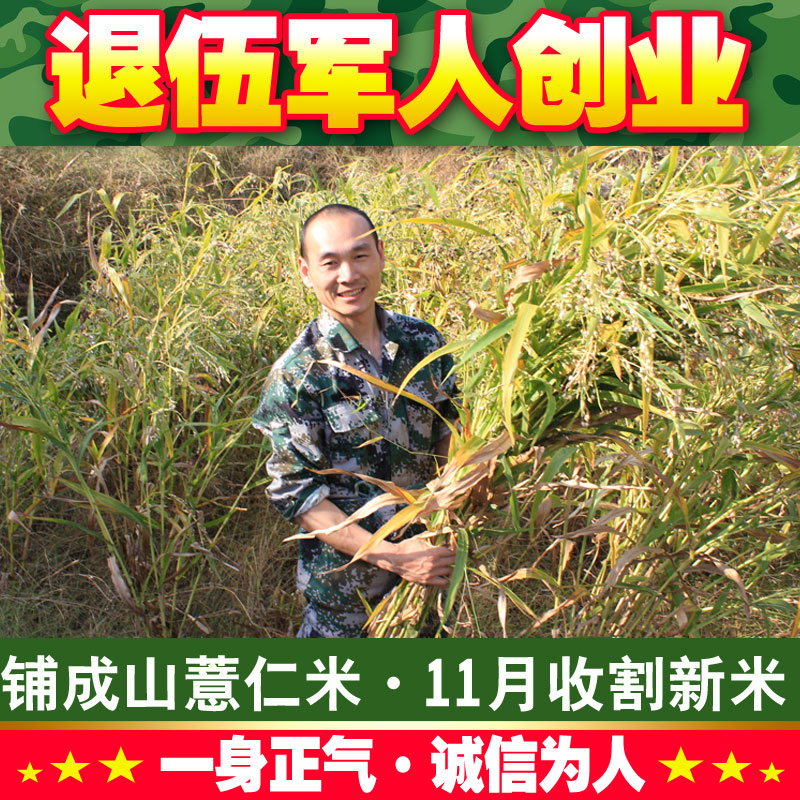 山薏米正宗浦城薏米优质老品种 薏仁米小薏意米仁500g【品质升级|msdalam kategori beras/Utara-Selatan barangan kering/perasa, meter/tepung/bijirin, RICE, Barley - dari Buy2taobao.com untuk memberikan perkhidmatan ejen Taobao profesional membeli