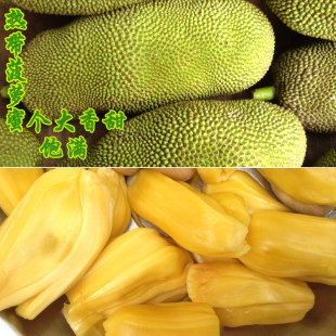  海南进口新鲜水果木/树菠萝蜜超香甜特价促销团购批发18-28斤包邮