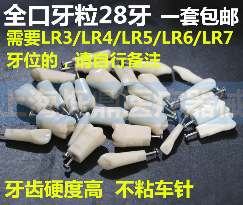 resin oral cavity Teeth model Material Science Denture Practice simulation Tooth In vitro Shotin the Toy/Childs/Puzzle/Building block/Model , Static model , Other model toys category - from Buy2taobao.com to provide professional Taobao agent buy service