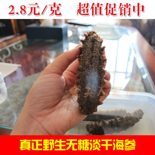  美国直邮纯淡干刺参美国野生海参纯淡干刺参南美海参海产干货批发