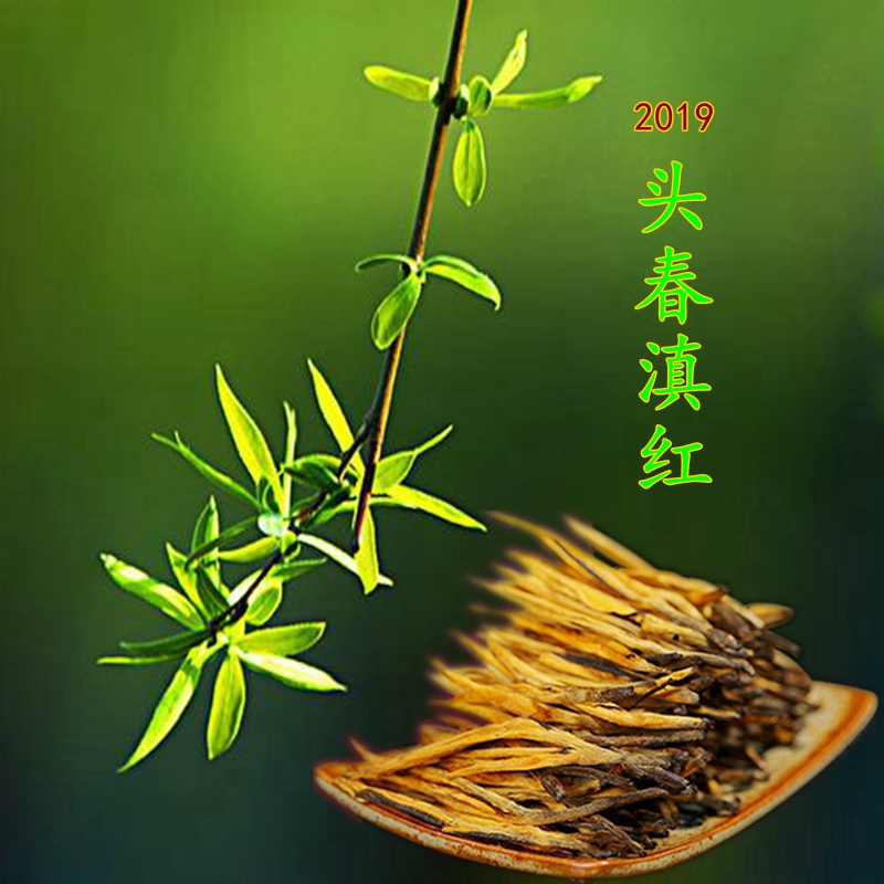 2019年春大金芽滇红茶特级单芽蜜香浓香250克散装礼盒功夫红茶|msdalam kategori teh, teh hitam (baru), Dianhong - dari Buy2taobao.com untuk memberikan perkhidmatan ejen Taobao profesional membeli