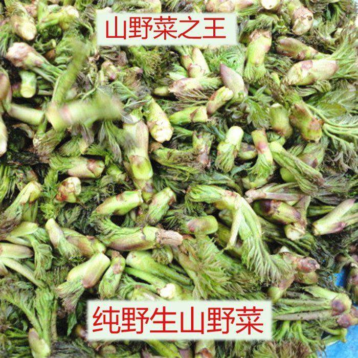 19 Storage bags Aralia elata Seem Wild wild Mountain vegetables Vegetables Japanese aralia aralia elata Northeast Xiaoxing'anling specialtyin the Aquatic meat/Fresh fruits and vegetables/Cooked , Fresh vegetables/Vegetable products , Fresh vegetables , Other category - from Buy2taobao.com to provide professional Taobao agent buy service